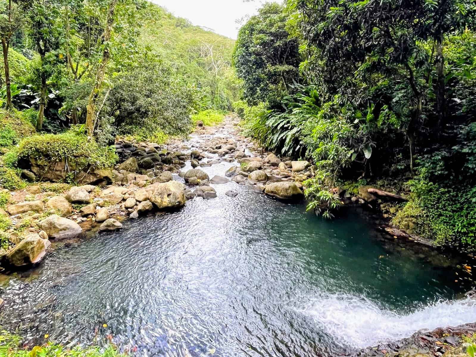 Steam with rocks at the end of Seven Sisters Waterfall in Grenada surrounded with lush rainforest