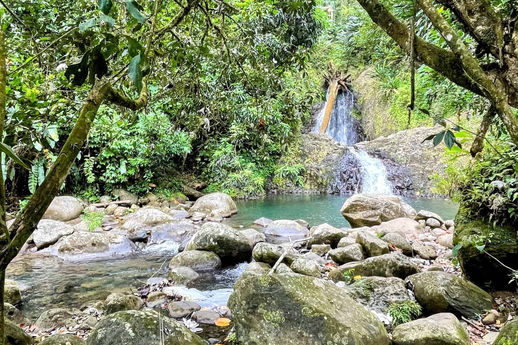 Lower two falls of Seven Sisters Waterfall in Grenada surrounded by lush green rainforest and gray boulders
