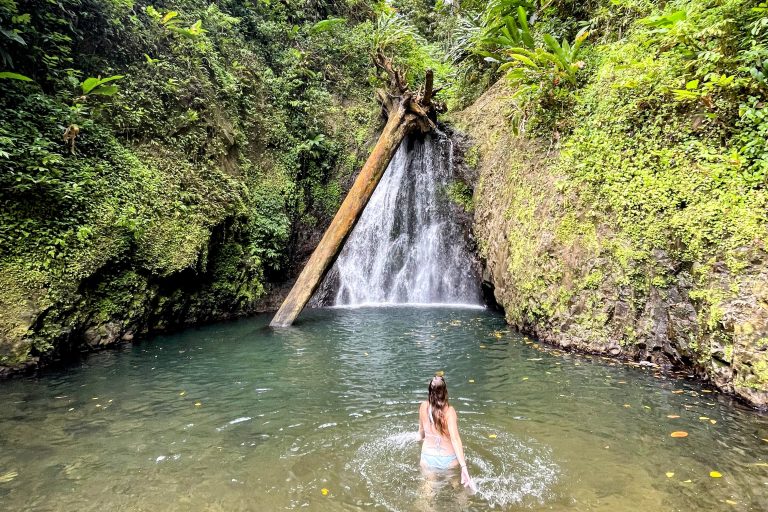 Visiting Seven Sisters Waterfalls in Grenada