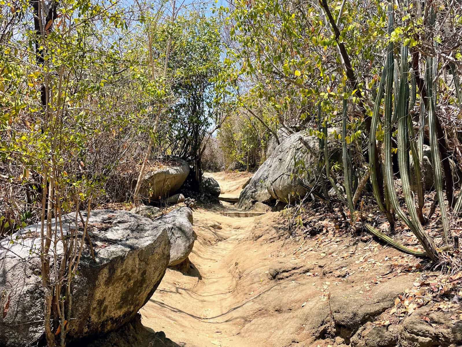 rocks and low lying brush around dirt trail down to the Baths British Virgin Islands