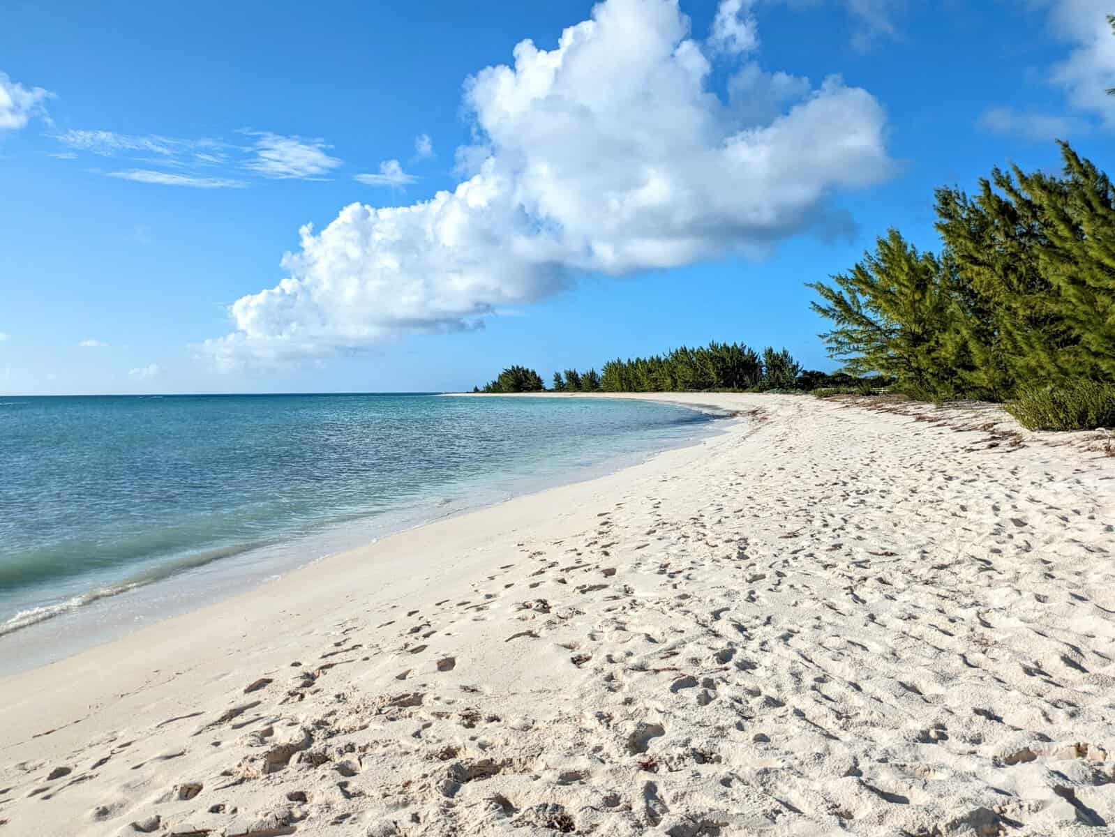 Pomato Point, Anegada, British Virgin Islands blue ocean, white sand, green shrubs